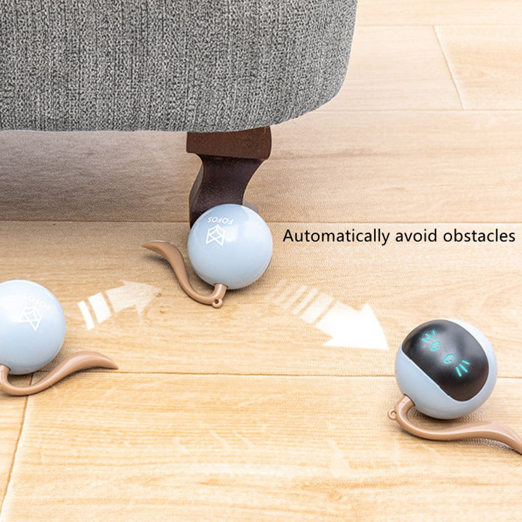 Cat Toys. Automatic Cat Led, Interactive Toys