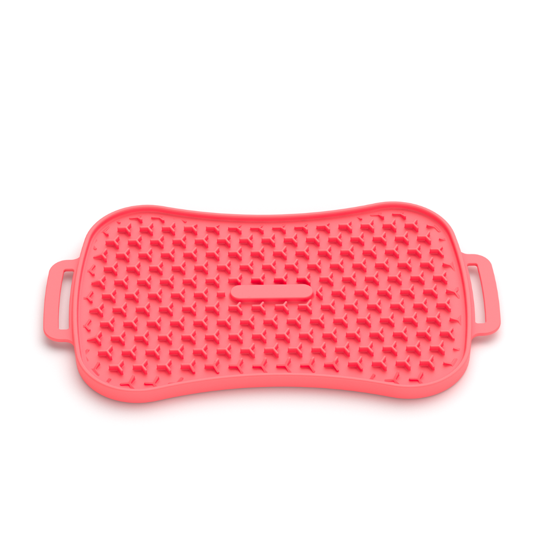4-In-1 Slow Feeder Dog Bowl
