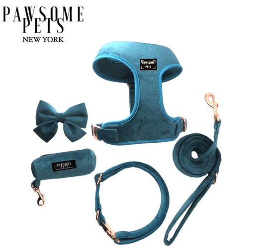 Bundle - Ice Blue Leash Set