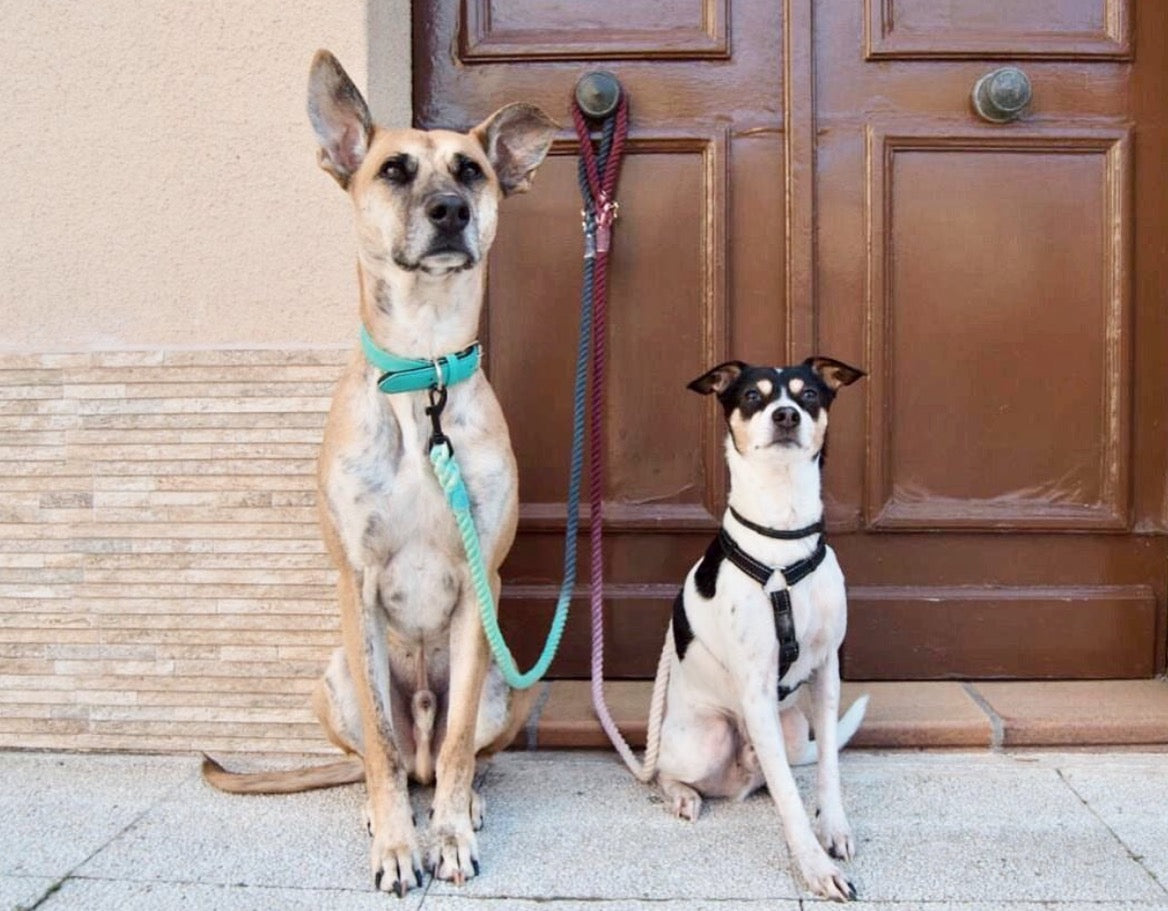 Rope Leash - Clair