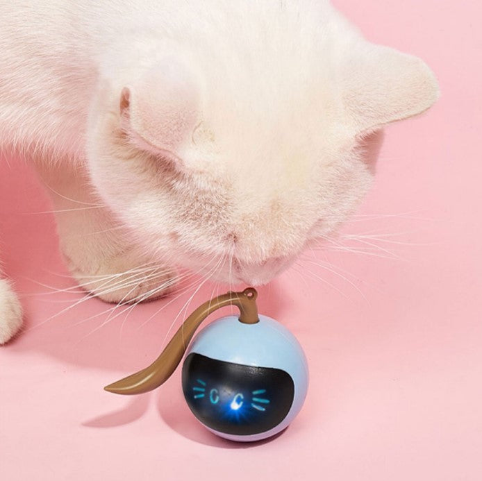 Cat Toys. Automatic Cat Led, Interactive Toys