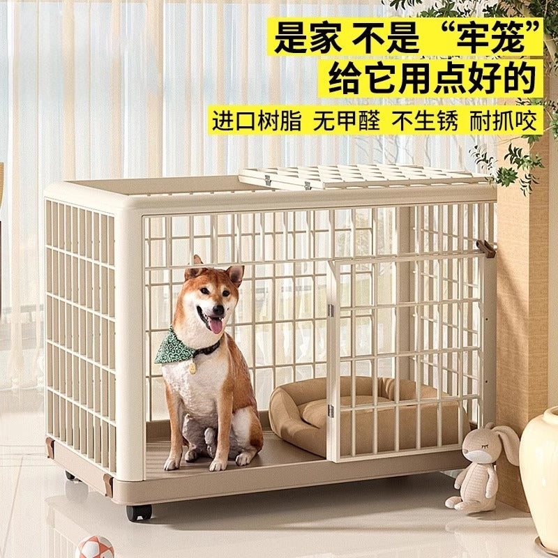 O1CN01xEiqAT1tMIeqck4tV_!!4611686018427381327-0-item_pic