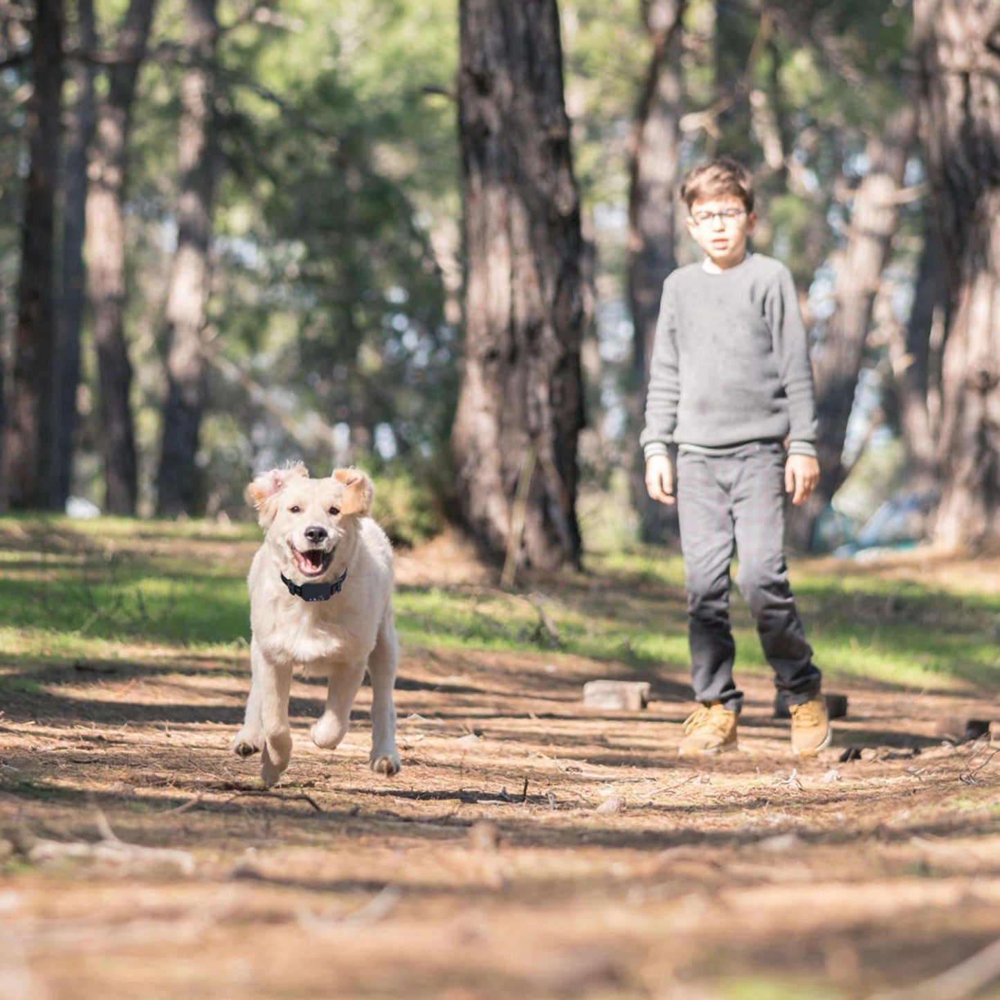 Wireless GPS Dog Fence. Rechargeable Waterproof Dog Collar.