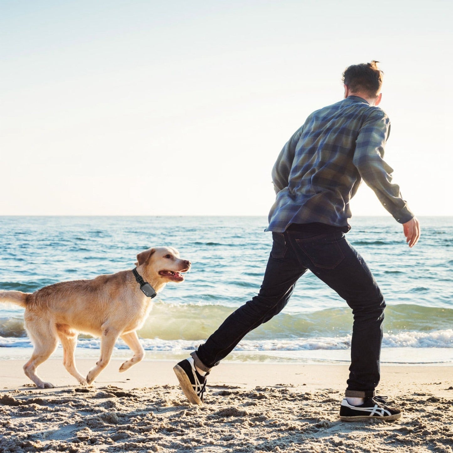 Wireless GPS Dog Fence. Rechargeable Waterproof Dog Collar.